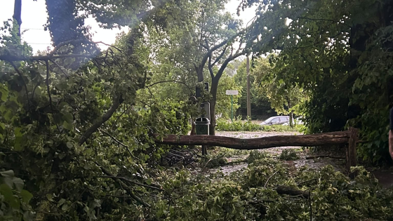 arnolduspark storm