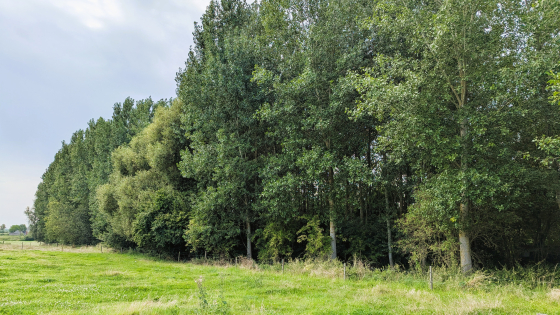 verkoop grond tiegem