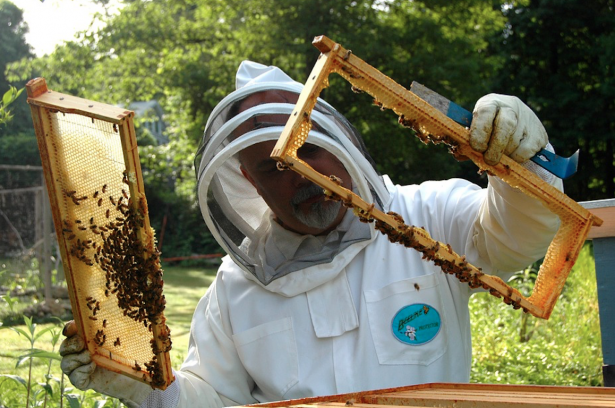 imker die aan het werken is aan zijn bijenkast